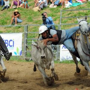 Rodeo Paita 2013-10-27