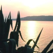 Côte d'Azur 1976 - V