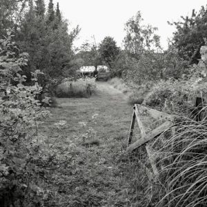 Journée Cochon Catherine et Francis 2016-07-02