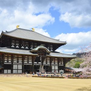 SPIRITUAL AND SACRED NARA , JAPAN 2025