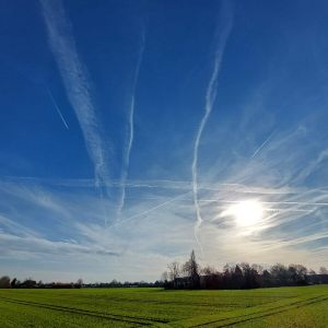 17.1.2026  Runde um den Berlagshof