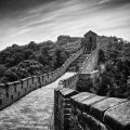 China 2013