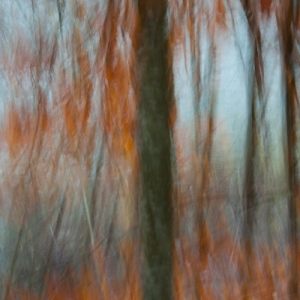 paintography