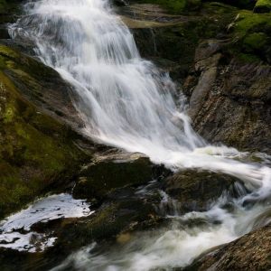 Wild River-Burnt Mill Brook