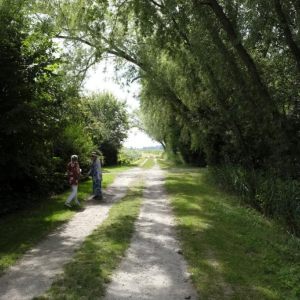 Ferme du beau pays 14 août 2024