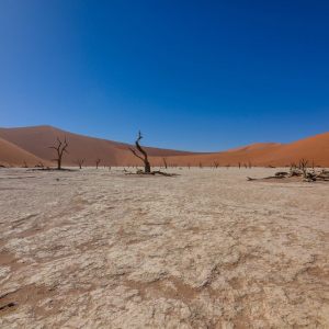 Namibia 2017 - 2018