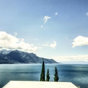 _chardonne_2016