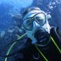 eggidiver